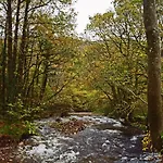 Bower House Inn 3*