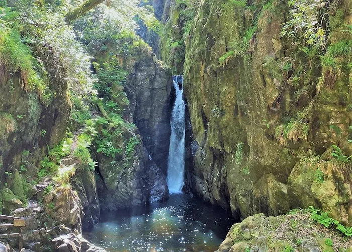Bower House بيت ريفي 3*