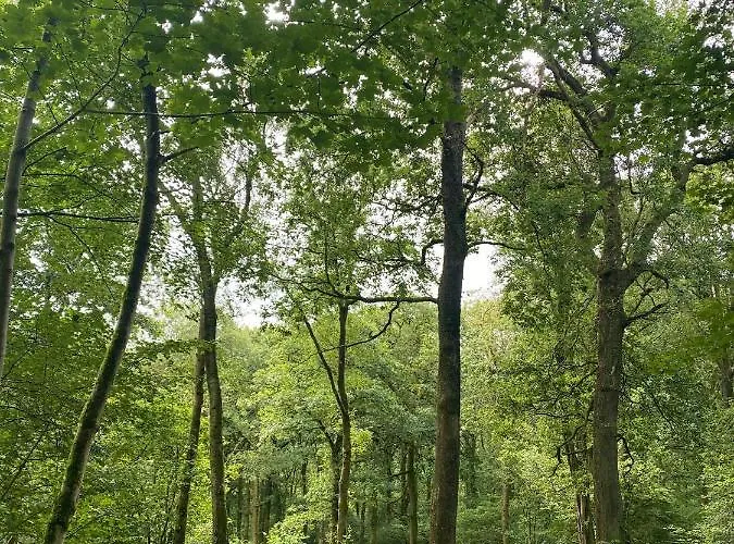 Bower House بيت ريفي إسكاديل