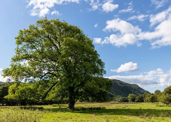 Bower House بيت ريفي إسكاديل