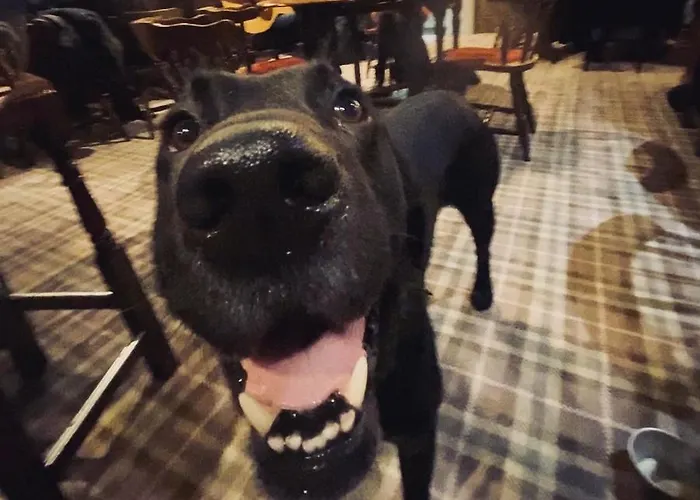 Estalagem Bower House 3*