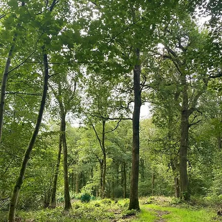 Bower House Inn Eskdale